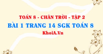 Bài 1 trang 14 Toán 8 Chân trời sáng tạo Tập 2